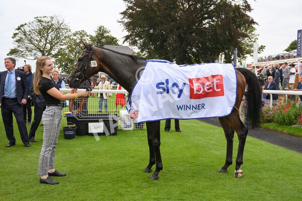 yr20082021r1-47 - Race 1 1.50pm Sky Bet Stakes