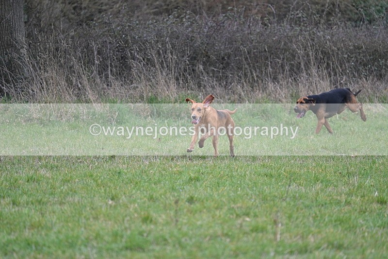 WJ7_7919 - A Camera