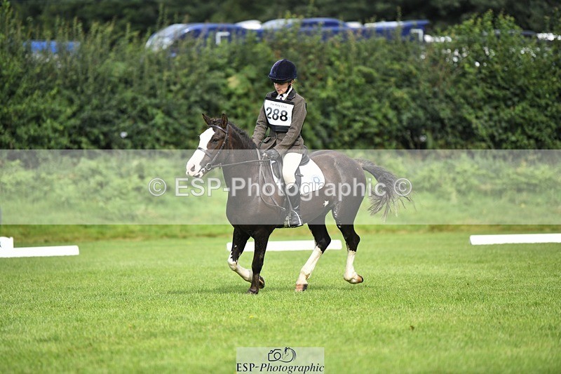 230826-100450-15354 - Sections C & D 9 to 10am