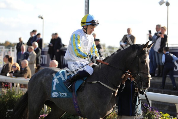 yr08102022r5-11 - Race 5 3.50pm The Coral Committed To Safer Gambling EBFStallions.com Maiden Stakes