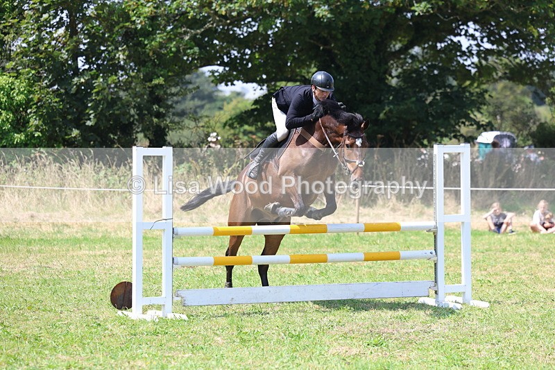 3E7A2871 - Class 7: Senior British Novice/90cm open