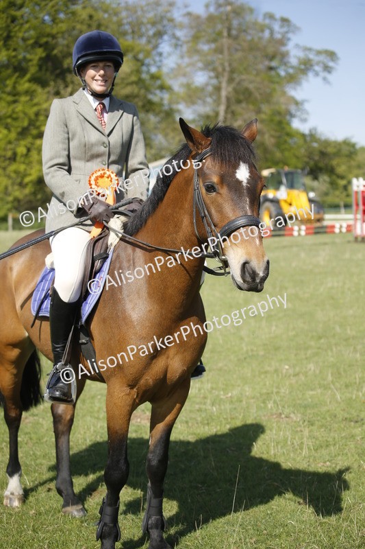20250427-0452 - Class 12 - Rookie Jumping 40cm