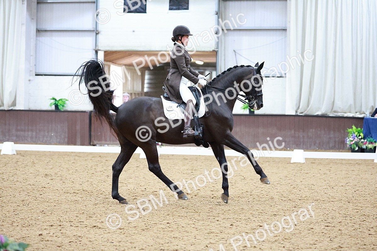 SBM_021309 - Class 14 - FEI Grand Prix - 17.40-18.34