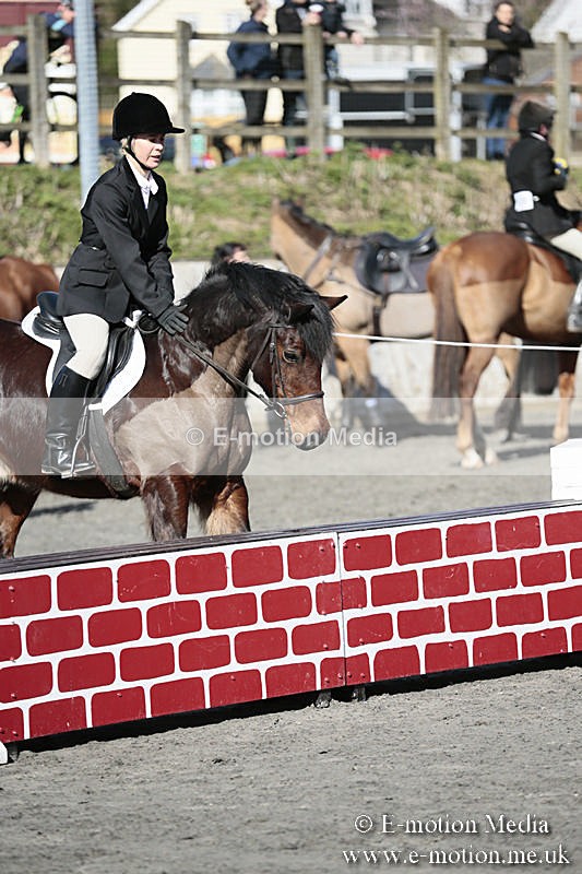 BVRC SJ 170319 143 - Bourne Valley Riding Club Showjumping 17/03/19