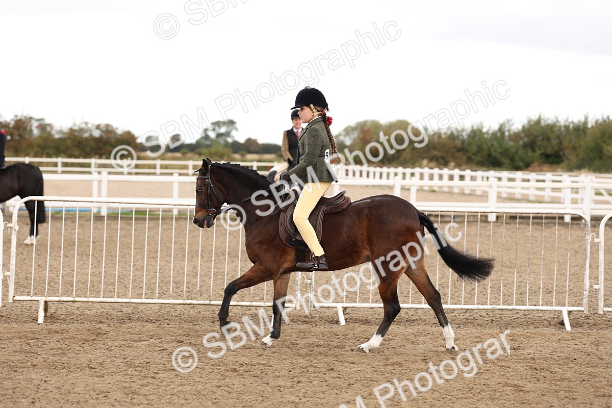 SBM_02900 - Class 53 - Ridden Competition Horse/Pony
