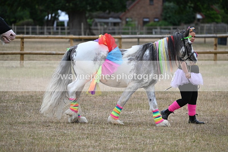 WJ6_8826 - Class 11 Fancy Dress