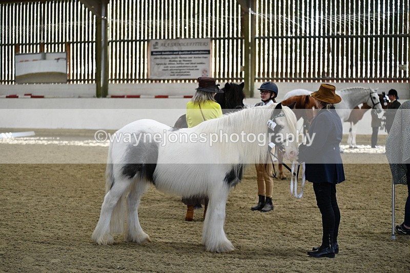 WJ5_4007 - Class 2 Best Condition In hand