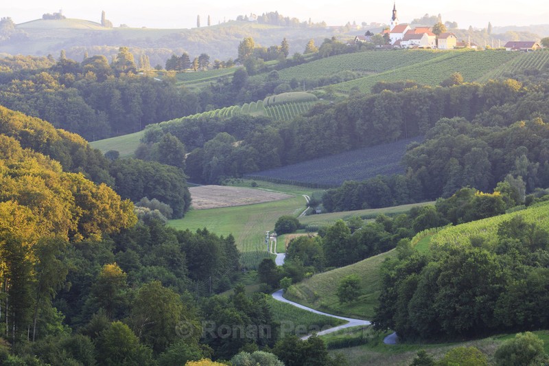 Rolling Hills - Slovenia and Tuscany