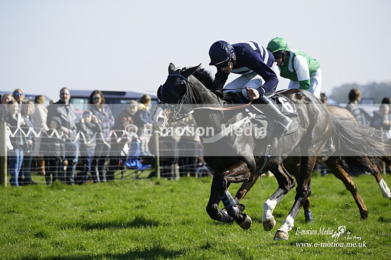 PtP 190322 523 - Wilton Hunt PtP Milborne St Andrew 19/03/22