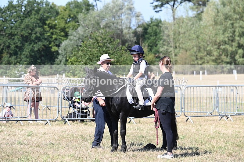 WJ6_8436 - Class 37a Best Loan Pony Ridden