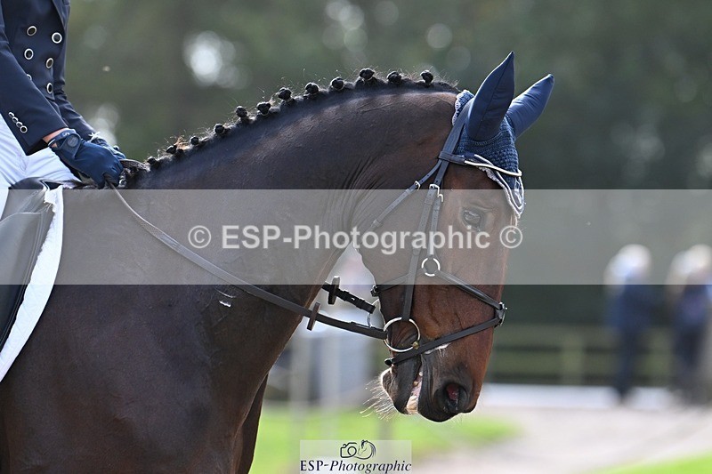 231019-142527-04172 - 052-SHANNONDALE.COURAGE-Georgina.Beeby.Wynn-DR