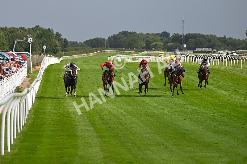 190824-Race 5-Birkenhead-3810 - Race 5