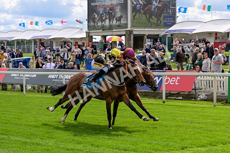 120626-Race 4-Big Negotiator-7529 - Race 4 15.35pm Juddmonte EBF Fillies' Restricted Novice