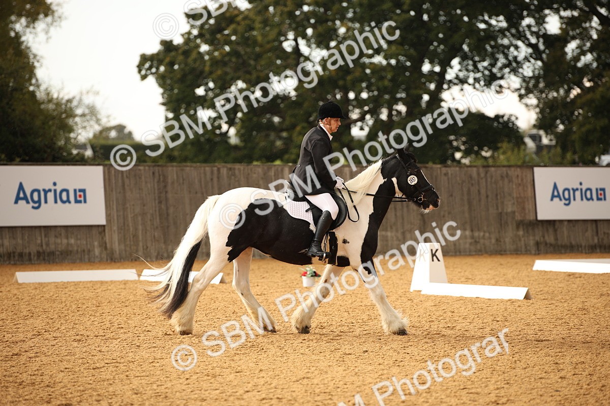 SBM_12382 - D3 Small  Tour Championship Intro A