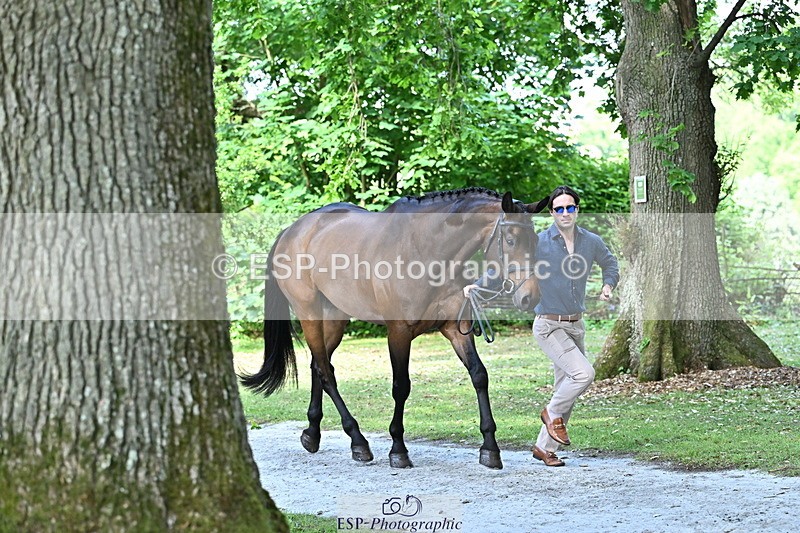 250521A-153430-00598 - B-317-Rupert.Batting-COOMBELAND.TALISMAN