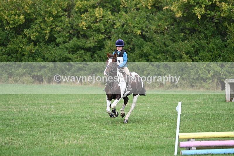 WJ7_8400 - 60cm Pairs