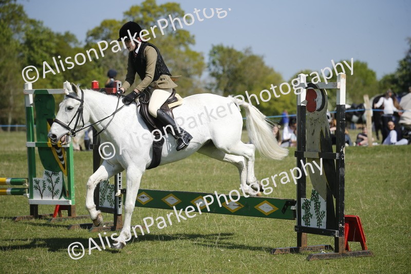 20250427-2107 - Class 13 - Novice Jumping 60cm