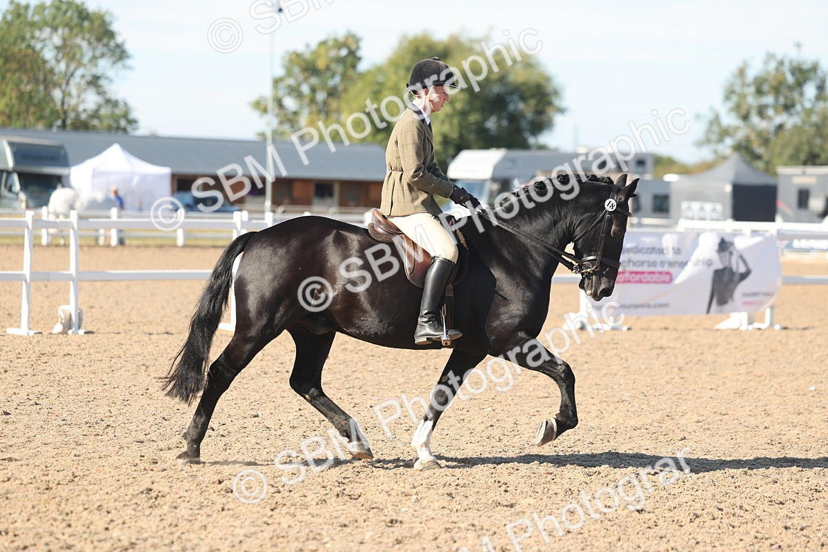 SBM_12330 - Class 304 - Ridden part Bred Horse Pony