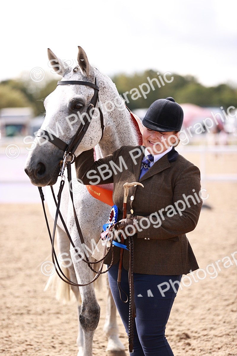 SBM_13369 - class 406 - IH Hunter