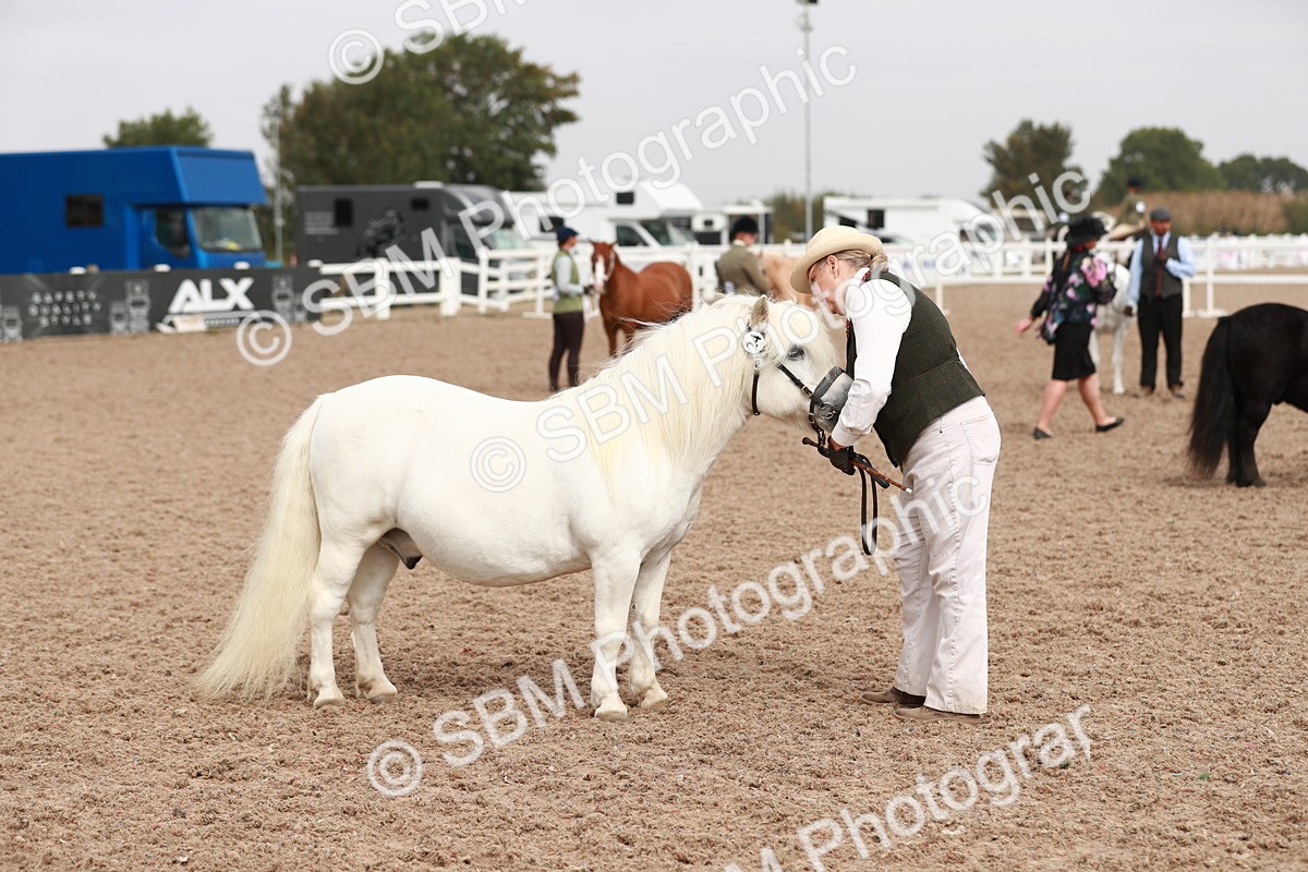 SBM_12526 - Class 207 IH M&M