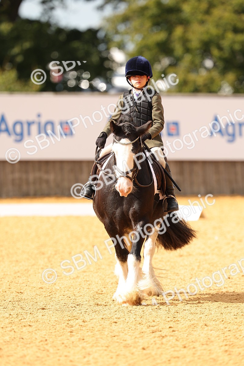 SBM_48229 - D22 - Junior Championship - Intro B