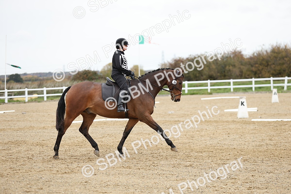 SBM_003909 - Class 9-12 - Novice 2 Elementary 3