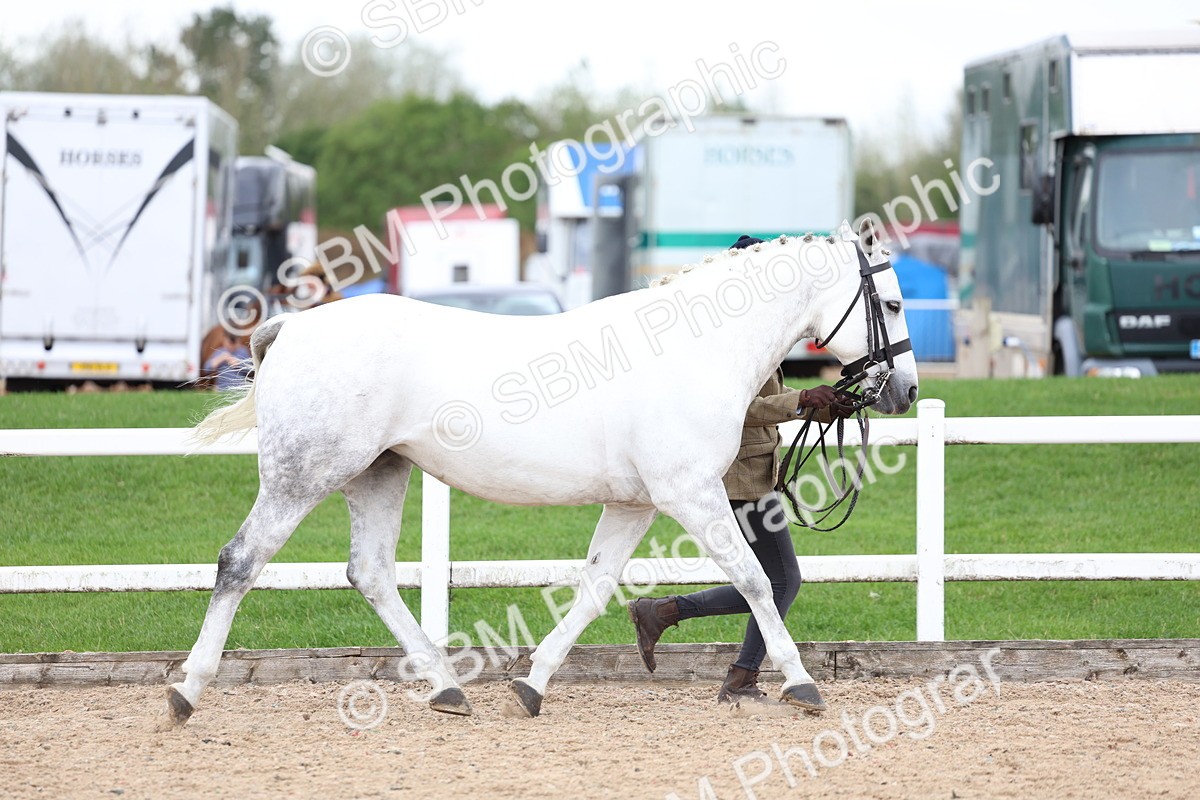 SBM_05712 - Class 28 - IH Veteran Horse