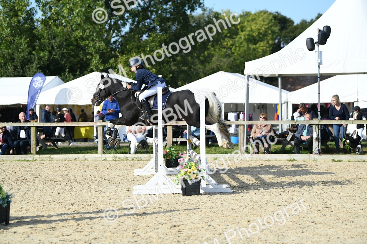 SBM_60623 - j25 - Junior Horse 80cm Championship