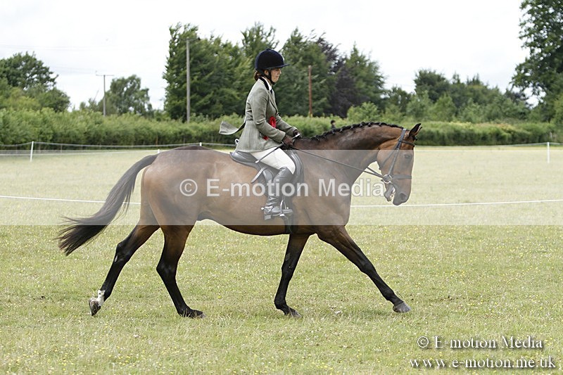 BVR160717-2293 - Working Hunter Championship 16/07/17