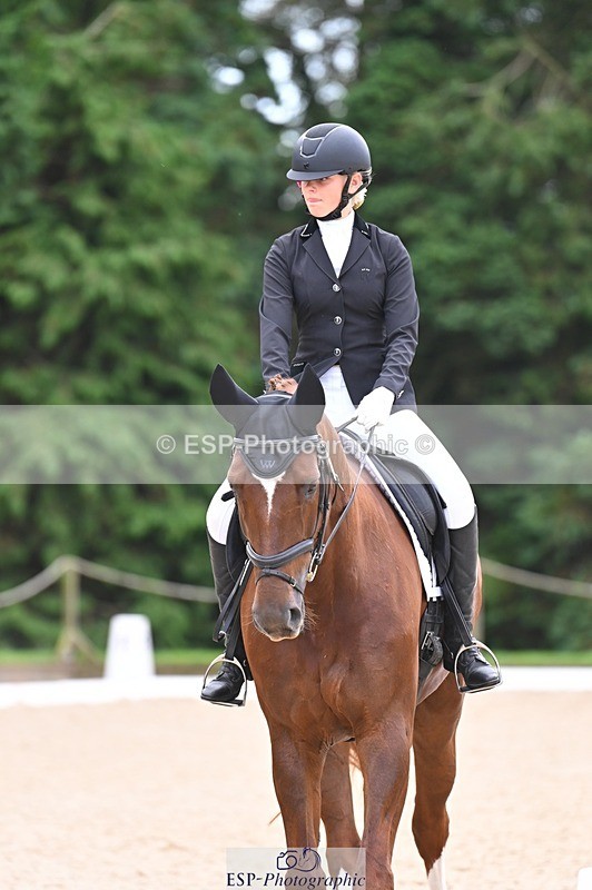 240809-121836-00736 - 185-Daisy.Hedges-Felicia.v