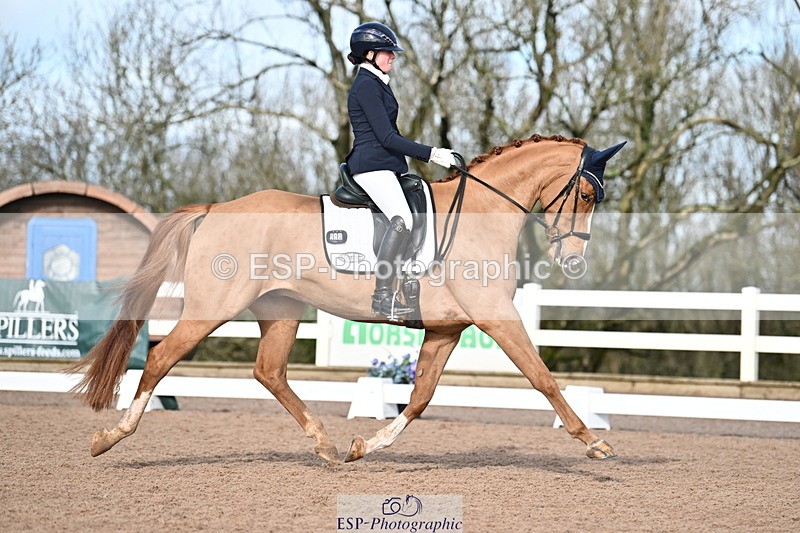 240218A-114129-06802 - 272-Beth.Bainbridge-Newton.Dreamcatcher