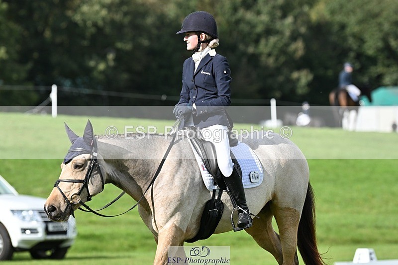 231020-142011-10880 - 664-TEMPLEMORE.WILD.ONE-Bella.Stevens-DR
