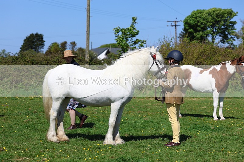 3E7A9888 - Class 17: Young Handler