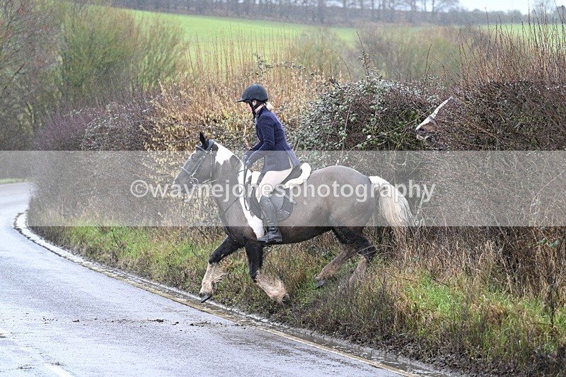 WJ7_7006 - Crossing A Camera