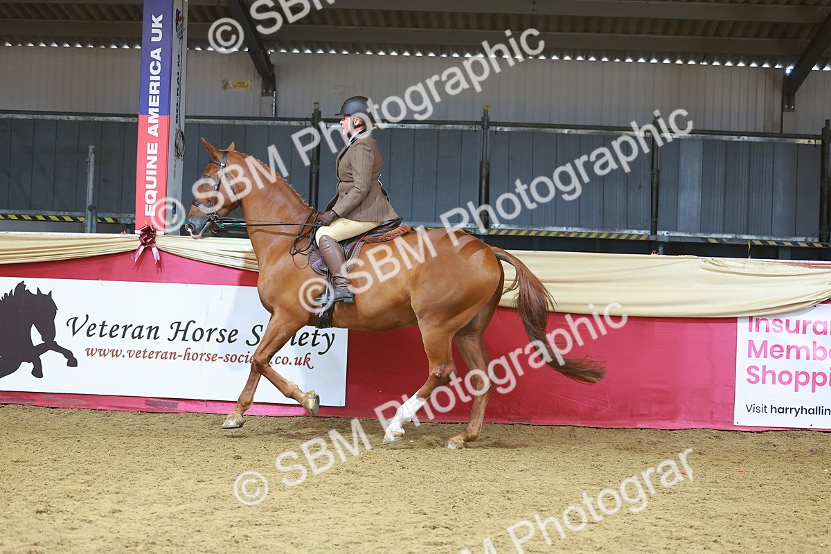 SBM_09437 - Class 102 - HOYS Veteran Qualifier - Ridden Veteran