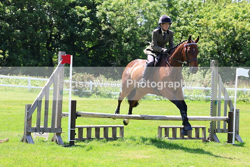 3E7A7452 - Class 31: Working Hunter Cob/Riding Horse