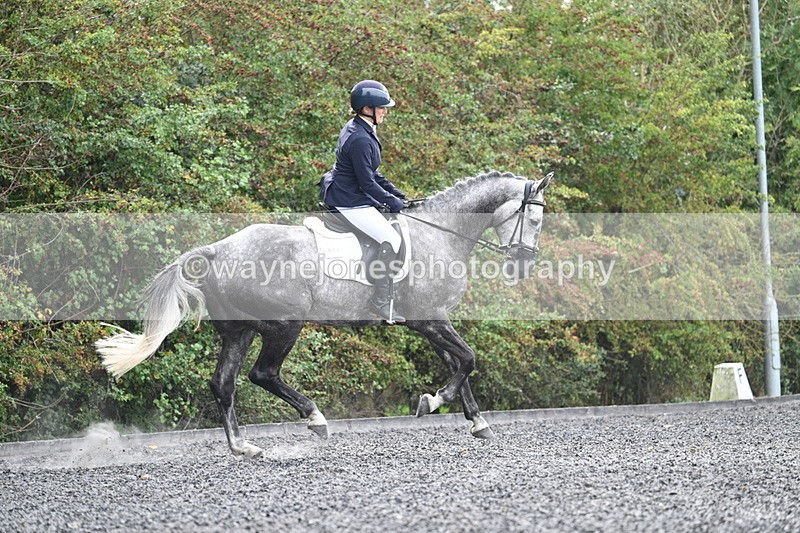 WJ7_4893 - Time 12:12 to 12:30