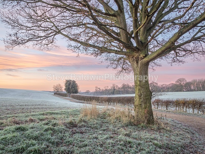 A Winters Morning: 264E - Earth: Close to Home