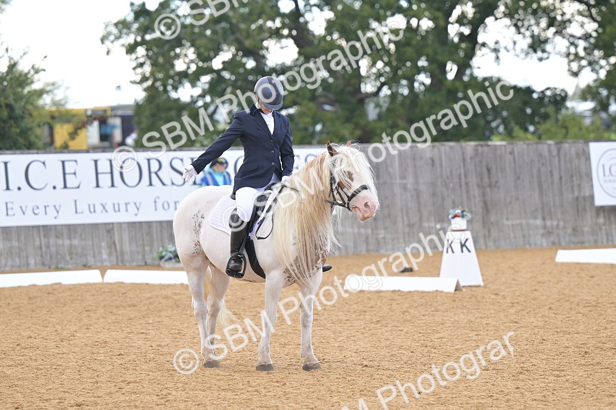 SBM_11228 - D3 - Small Tour Championship Intro 3