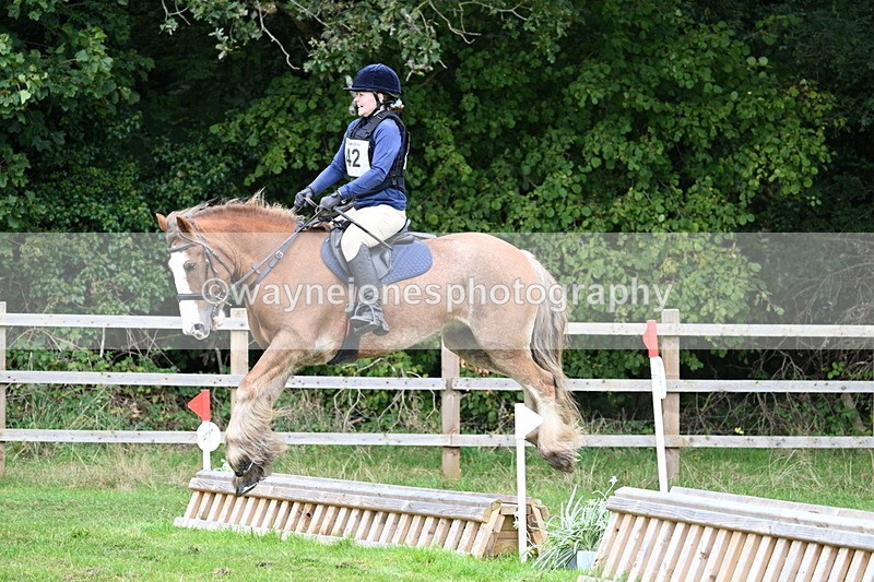WJ7_7704 - 40cm Time 10:49 to 11:18