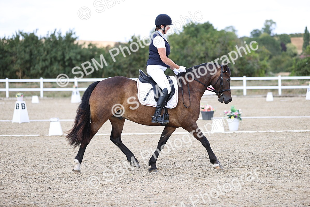 SBM_015334 - Class 5 - E5 Bronze 14.42.15.54