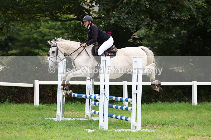 3E7A7074 - Class 5: Senior British Novice/90cm open