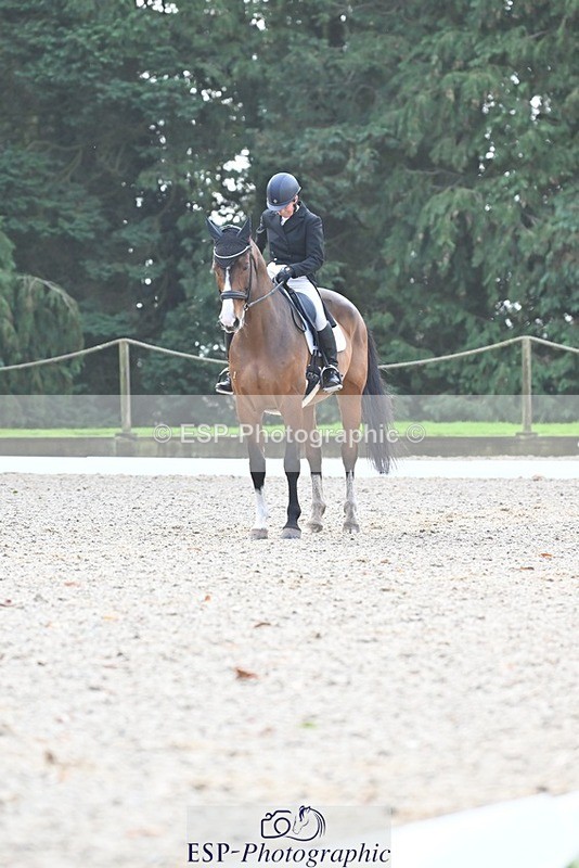 231019-110652-02052 - 105-BRIGHT.KNIGHT.III-Janet.Clarke-DR