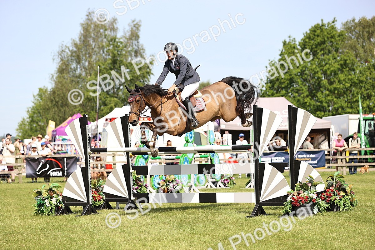 SBM_03251 - Class 201 - British Horse Feedds Speedi Beet HOYS Grade C