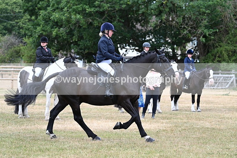 WJ7_1162 - Class 3 Family Mount
