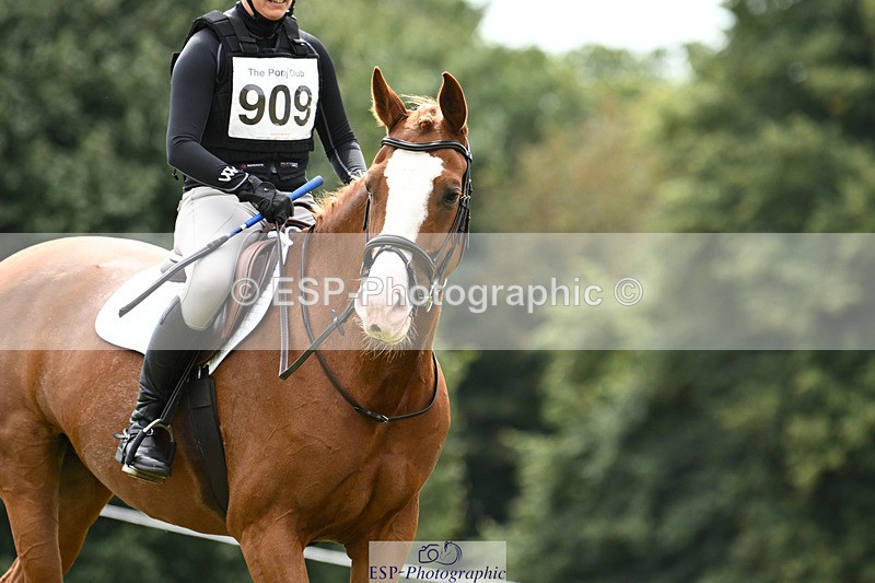 240825X-124052-33328 - 70cm XC 12.00 to End