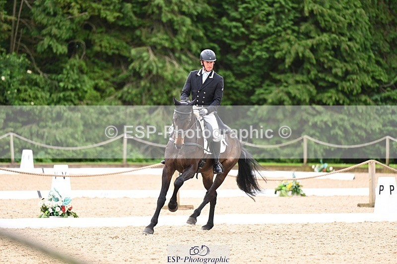 240524-093725-07918 - 507-DASSETT_ROCK_STAR-Tom_D_Crisp