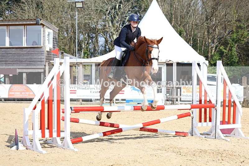 3E7A6565 - Class 4: Senior British Novice/90cm open