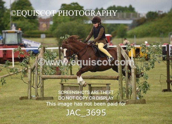 JAC_3695 - 75CM WORKING HUNTER