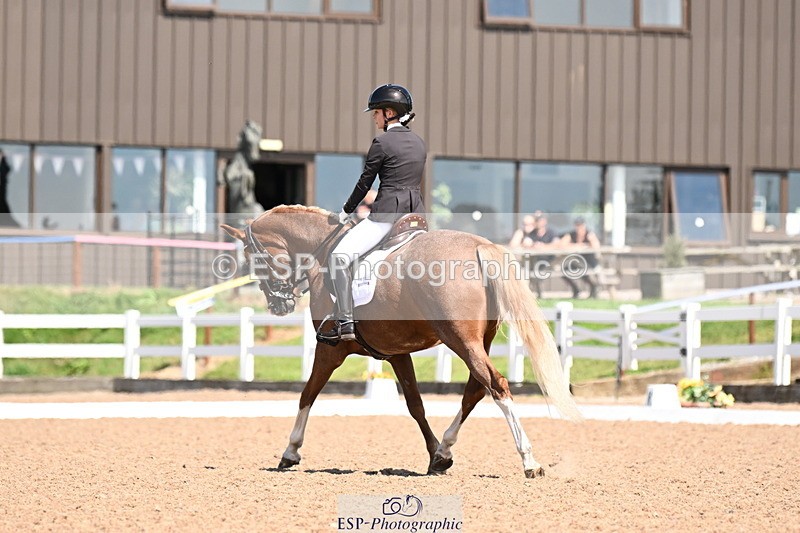 240816A-131718-05016 - 113-Ruby.Gumbley-Nova's.Golden.Dream